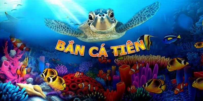 Bắn cá tiểu tiên cá Hit Club: Sảnh game siêu hot cho bet thủ 5 Top các điểm mạnh của bắn cá tiểu tiên